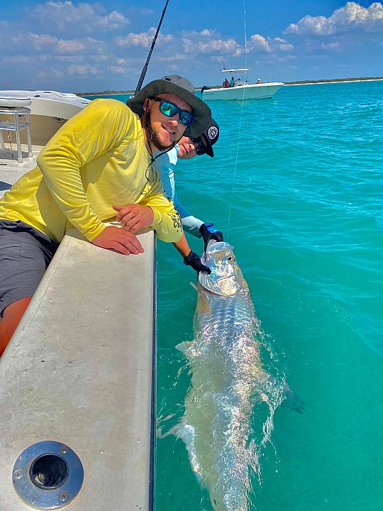 Tarpon
