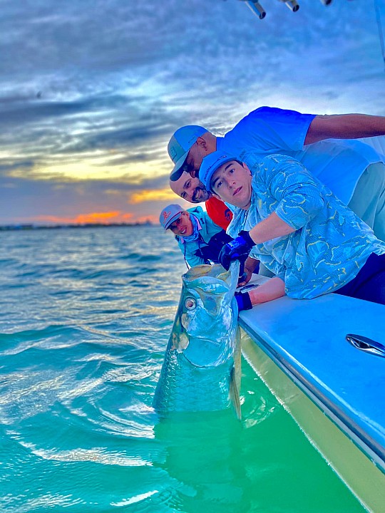 Tarpon