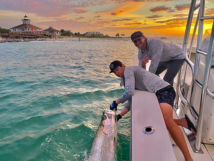 Tarpon