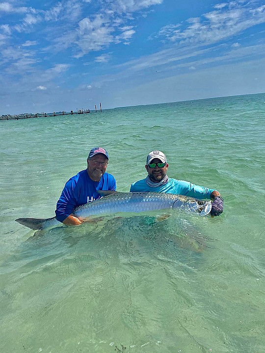 Tarpon