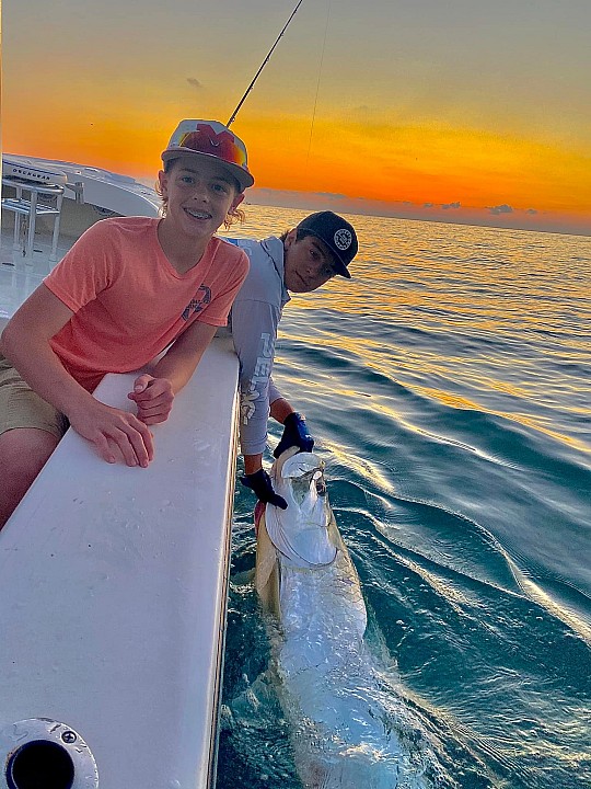 Tarpon