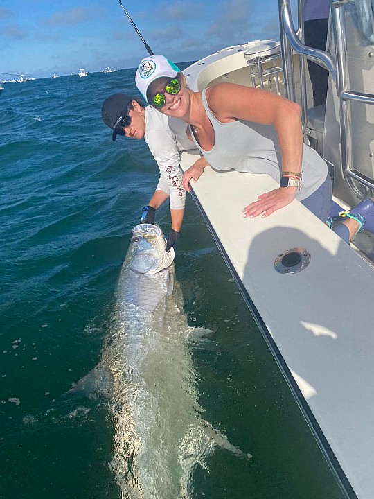 Tarpon