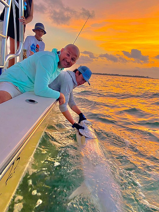 Tarpon