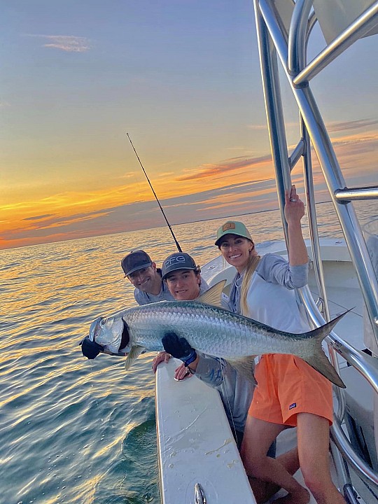 Tarpon