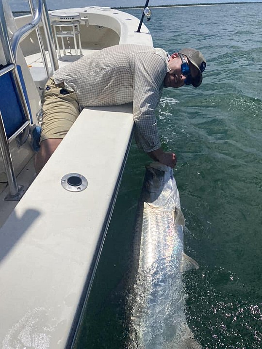 Tarpon