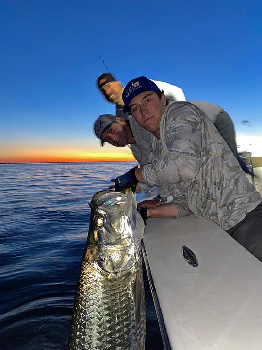 Tarpon