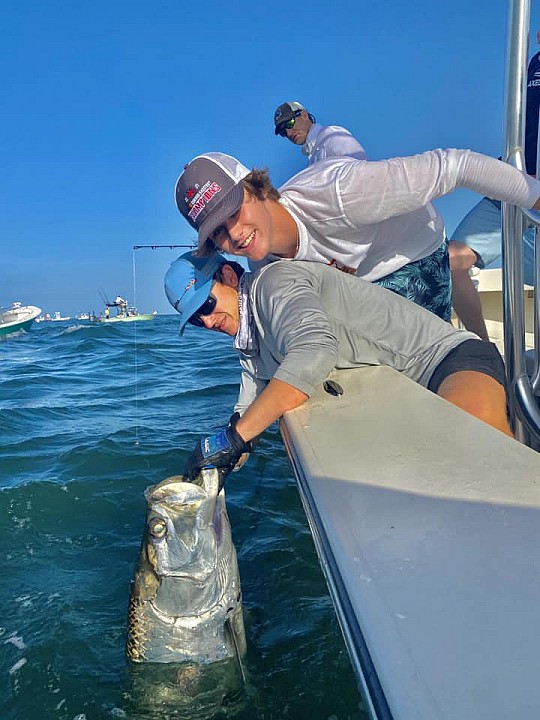 Tarpon