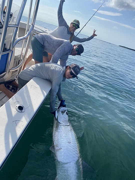 Tarpon