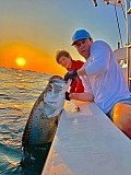 Tarpon