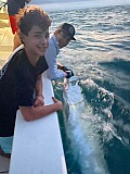 Tarpon