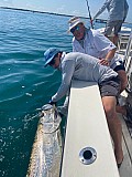 Tarpon