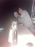 Tarpon