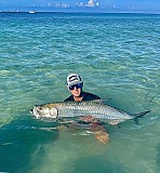 Tarpon