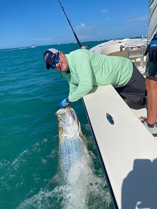 Tarpon