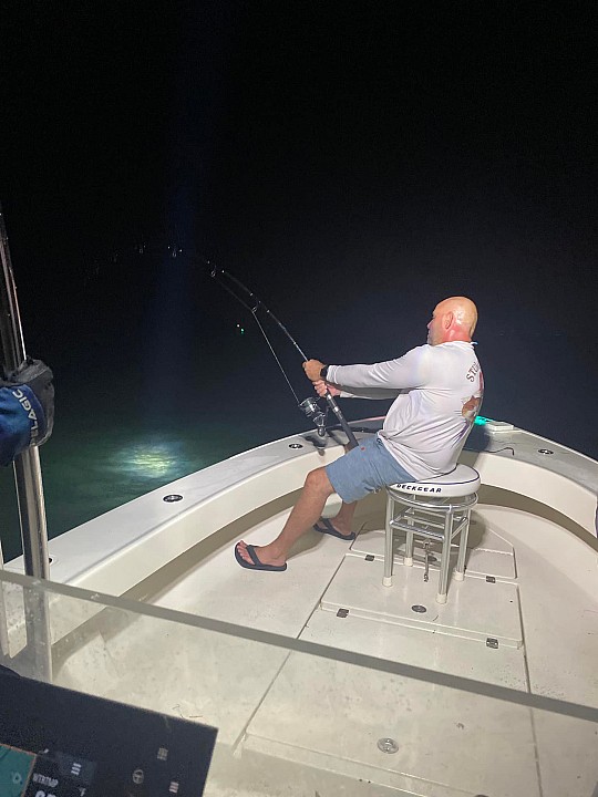 Tarpon