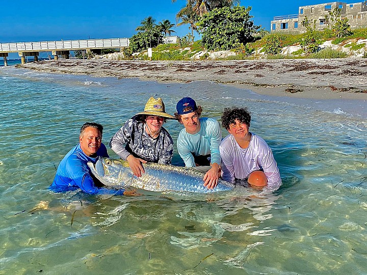 Tarpon