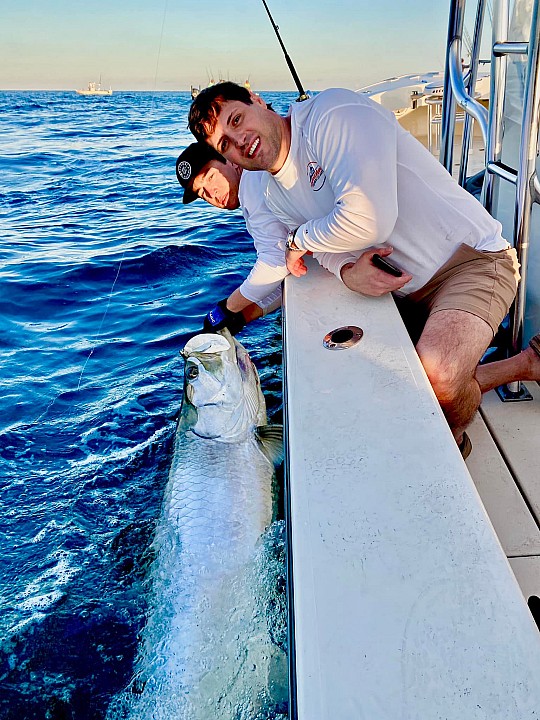 Tarpon