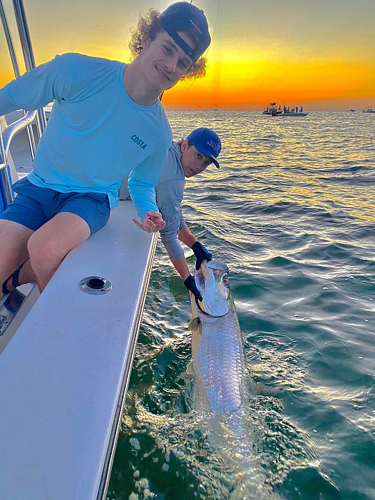 Tarpon