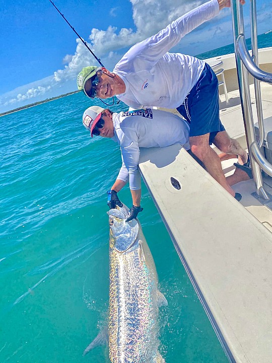 Tarpon