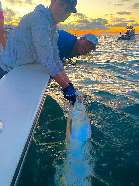 Tarpon