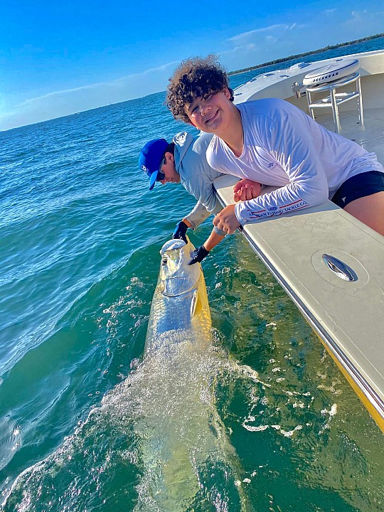 Tarpon