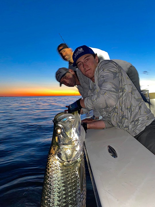 Tarpon