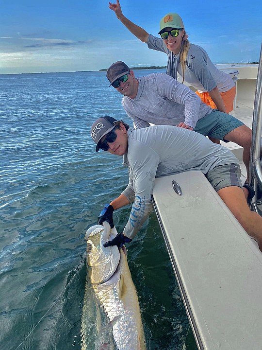 Tarpon